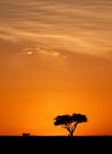 KNP_100211_Kenia_476.jpg