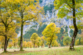 KNP_131006_Karwendel_037.jpg